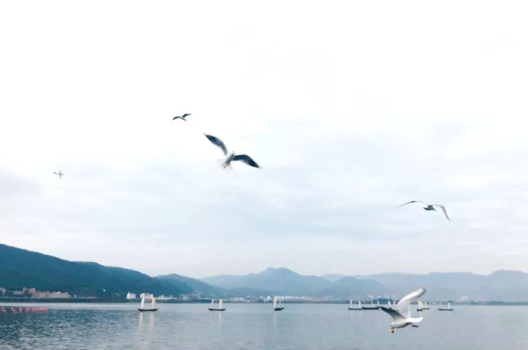 朱光潜谈读书的一段话,朱光潜谈读书认为该读怎么样的书