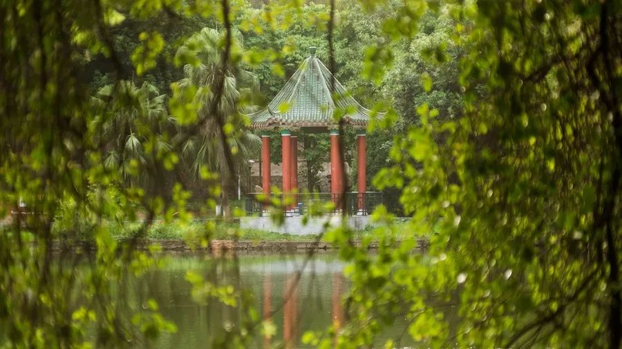 华南农业大学研究生招生信息,华南农业大学2020年本科招生计划