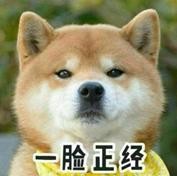 特别专题|比高考语文阅读还难理解的基金会项目信息