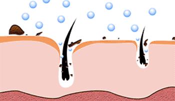 团|你的头发一根都不许掉!用它,还能3天不洗头依然干爽不油腻