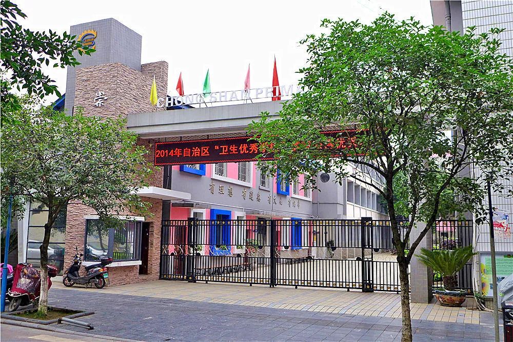 喜报学校获全省教育系统多项表彰,桂林崇善小学