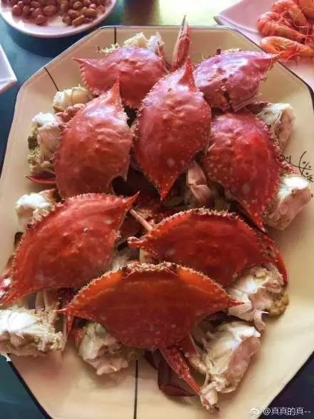 大连开海后的海鲜,开海了吃海鲜去哪个码头最便宜