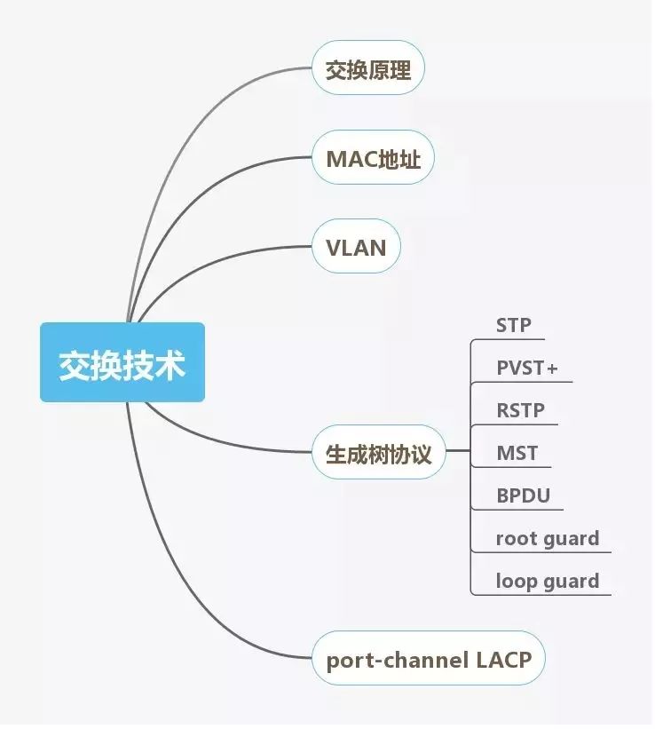 网络工程师进阶必备技能图谱,软件售前工程师技能图谱大全