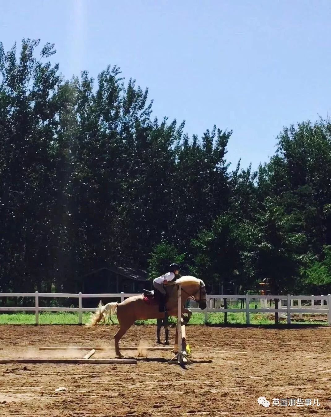 15岁华裔小姑娘获得世界冠军,15岁少女放弃美籍回国