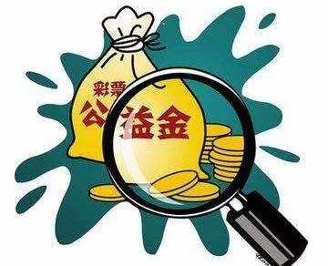 2018年福利彩票开奖汇总,2018年彩票公益金都去哪儿了