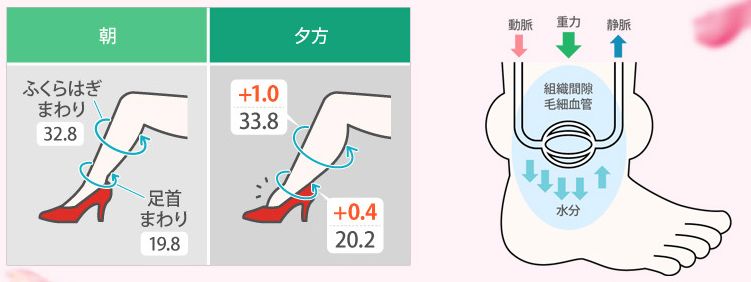 跑完步脚底板很痛但没有起泡,跑完步脚底板一踩就疼怎么回事