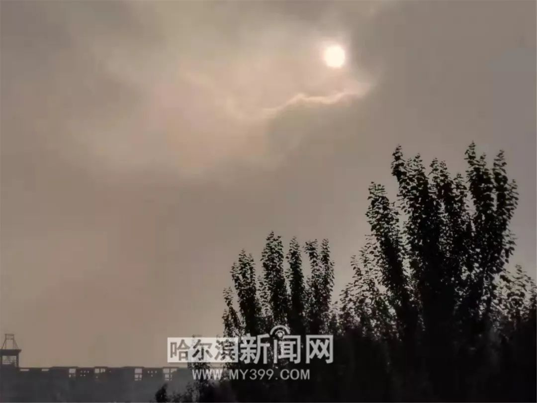 哈尔滨风景好的大公园推荐,哈尔滨松北区哪个公园好看