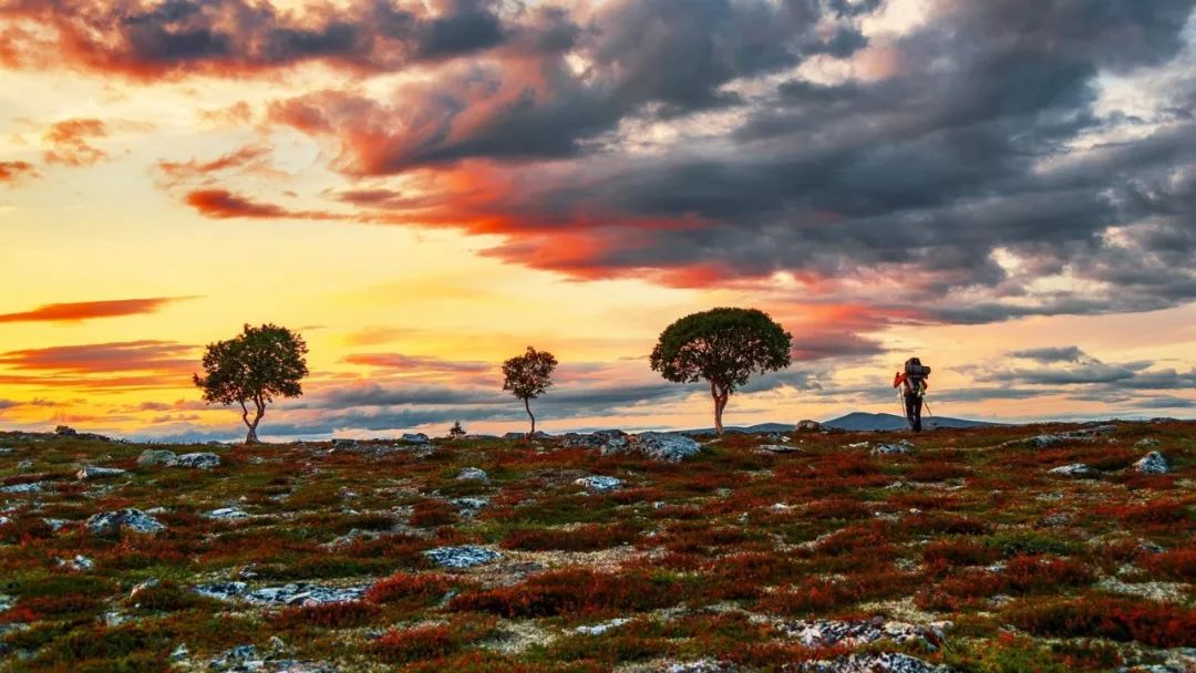 挪威缩影是个旅游团吗,不同人眼中的挪威