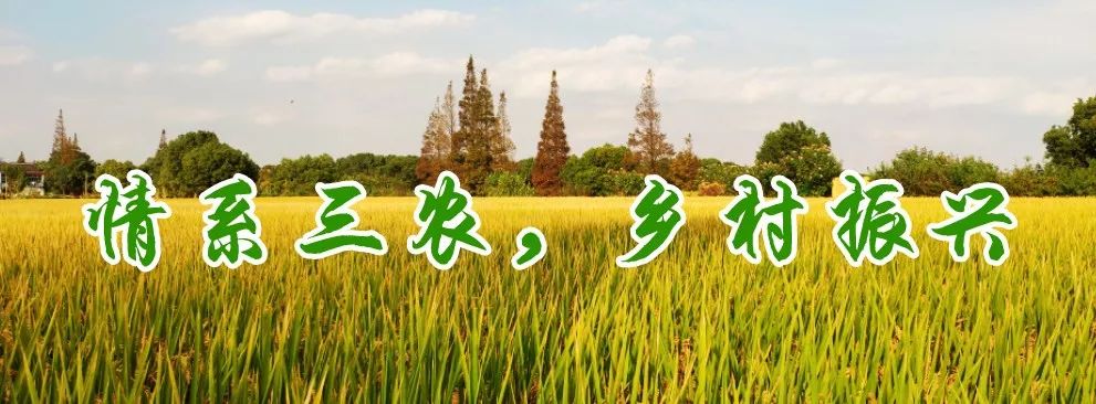 国家允许的兽药目录,兽药政策法规一览