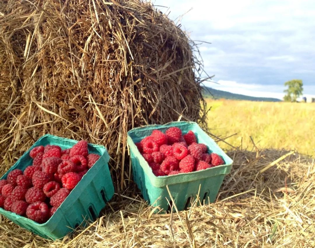 把诊室开在农场里，用有机食物做处方药的另类医生