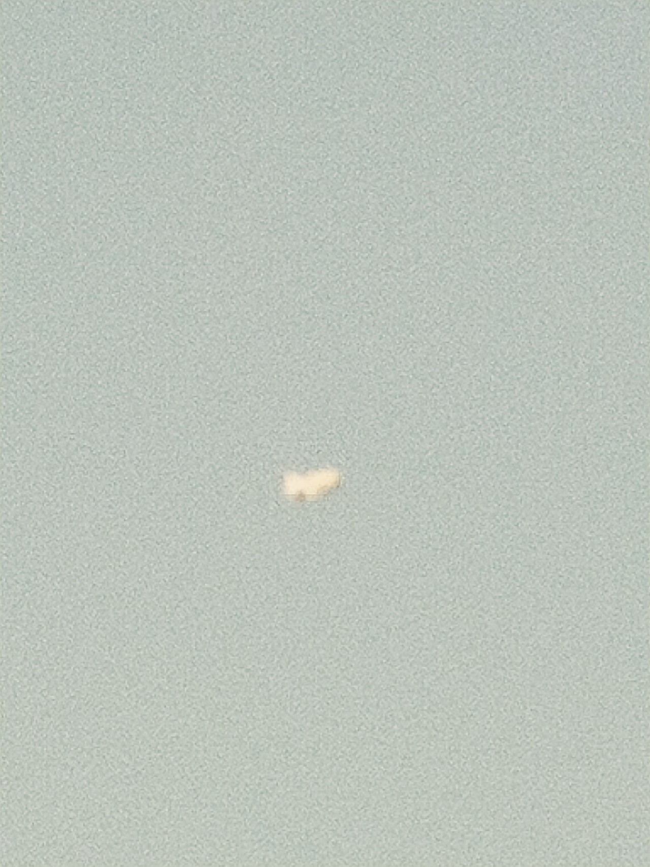 封竿一年后,封竿期钓鱼