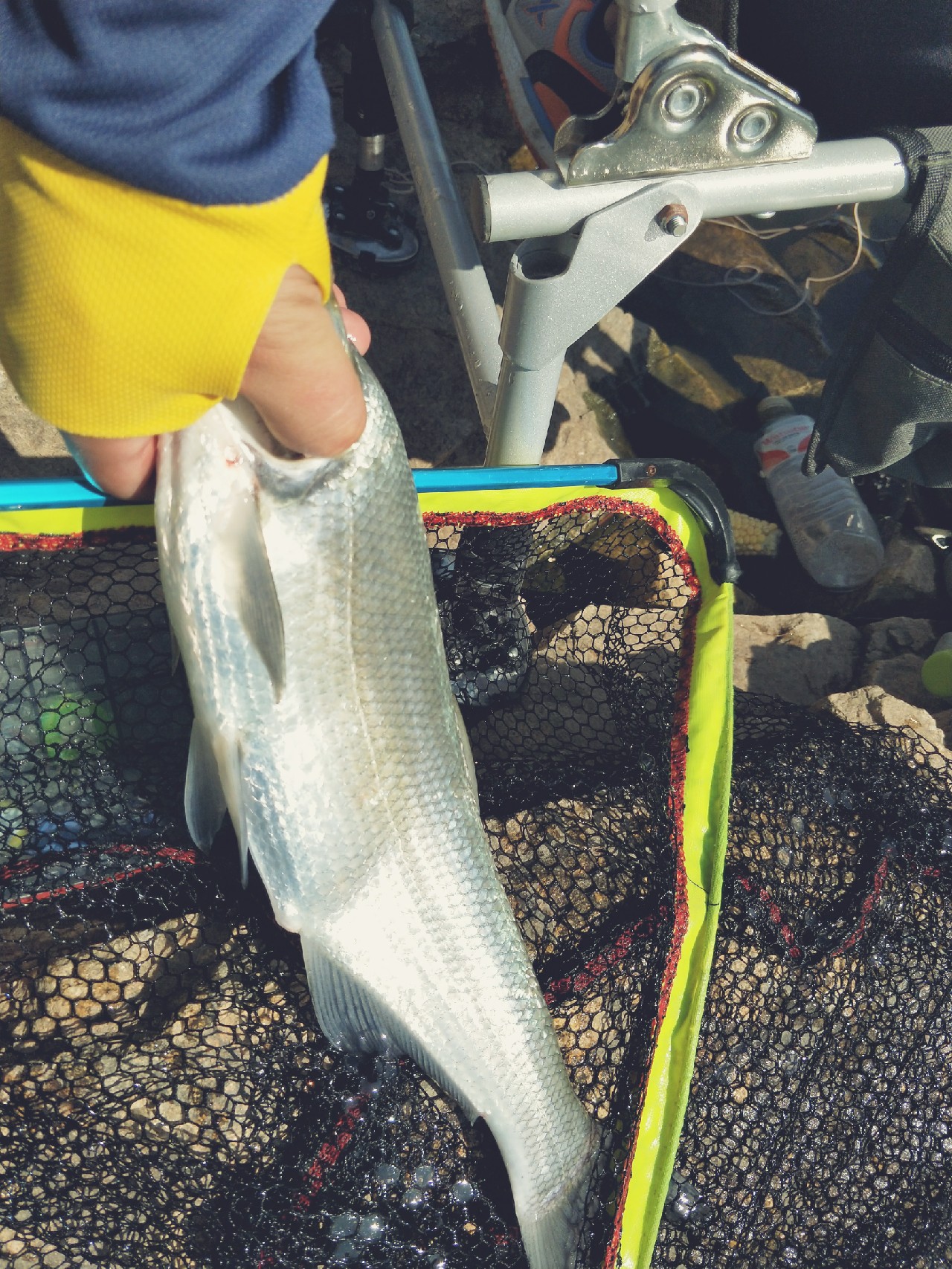 封竿一年后,封竿期钓鱼