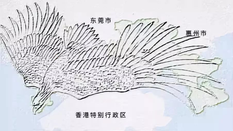 人容颜弹指老，深圳却永远年轻