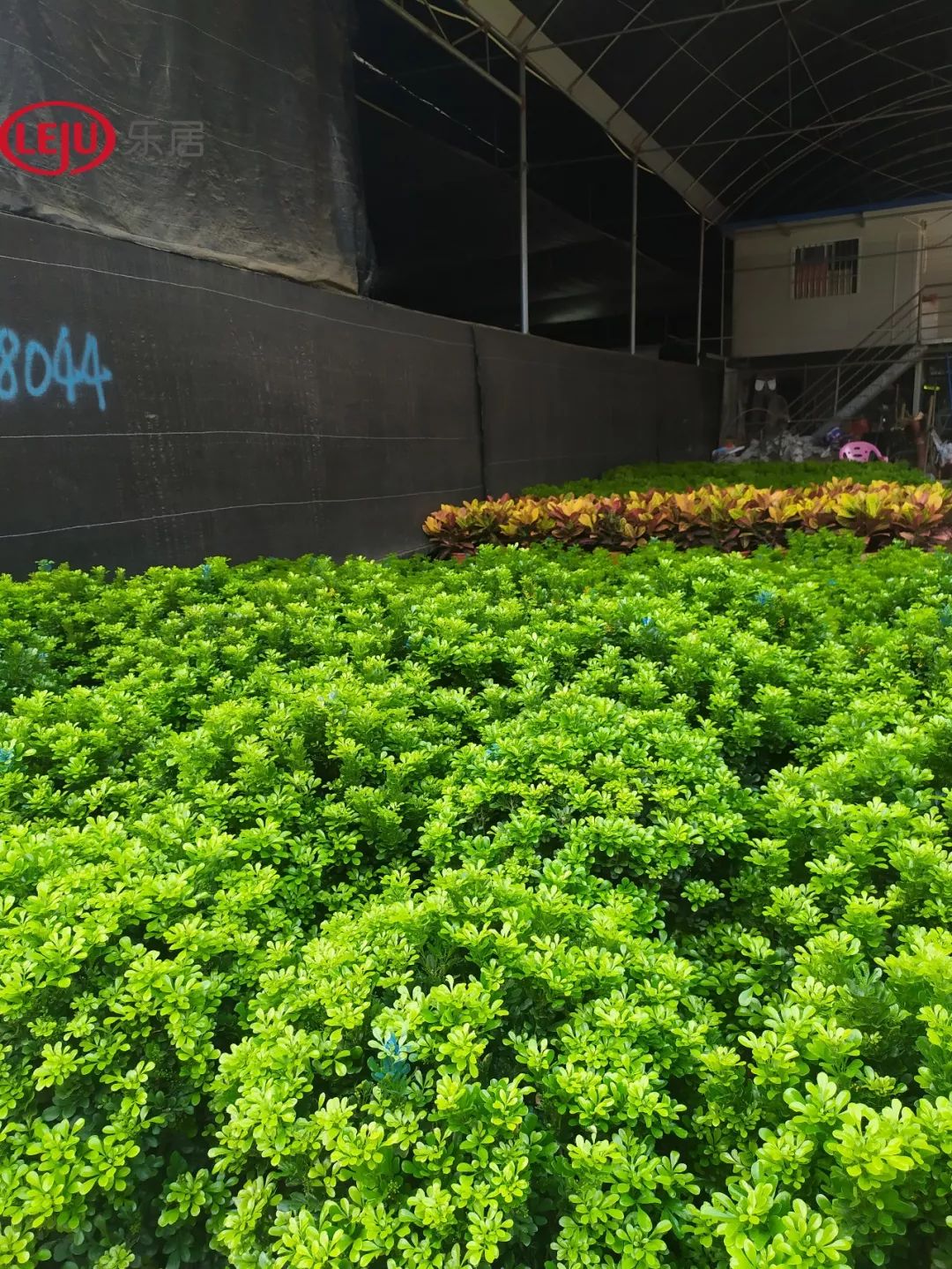 五家房企拿地,四家龙头房企250亿融资获批