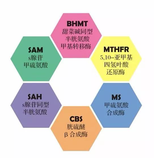 健康指标有哪些,健康指标的正常值