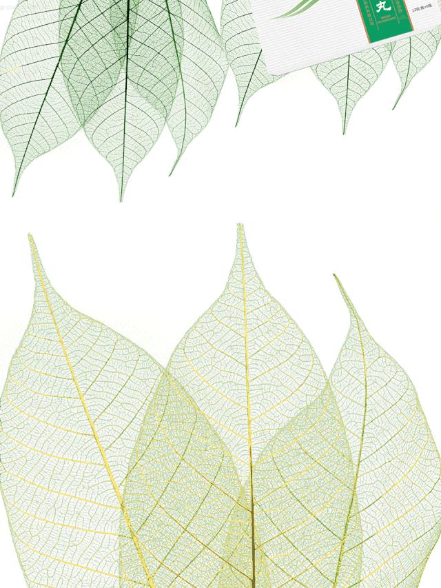 脚踝扭伤止痛消肿的中草药,脚踝扭伤肿了针灸快速消肿和止痛