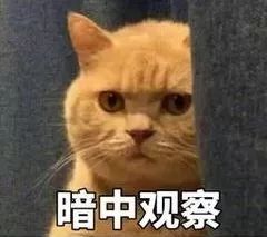 老师们的口头禅你了解吗,老师的那些经典语录