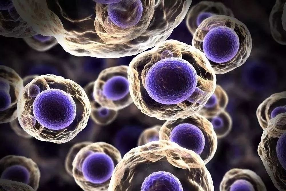 粉丝提问口服胶原蛋白真的有用吗,粉丝问坚果怎么选