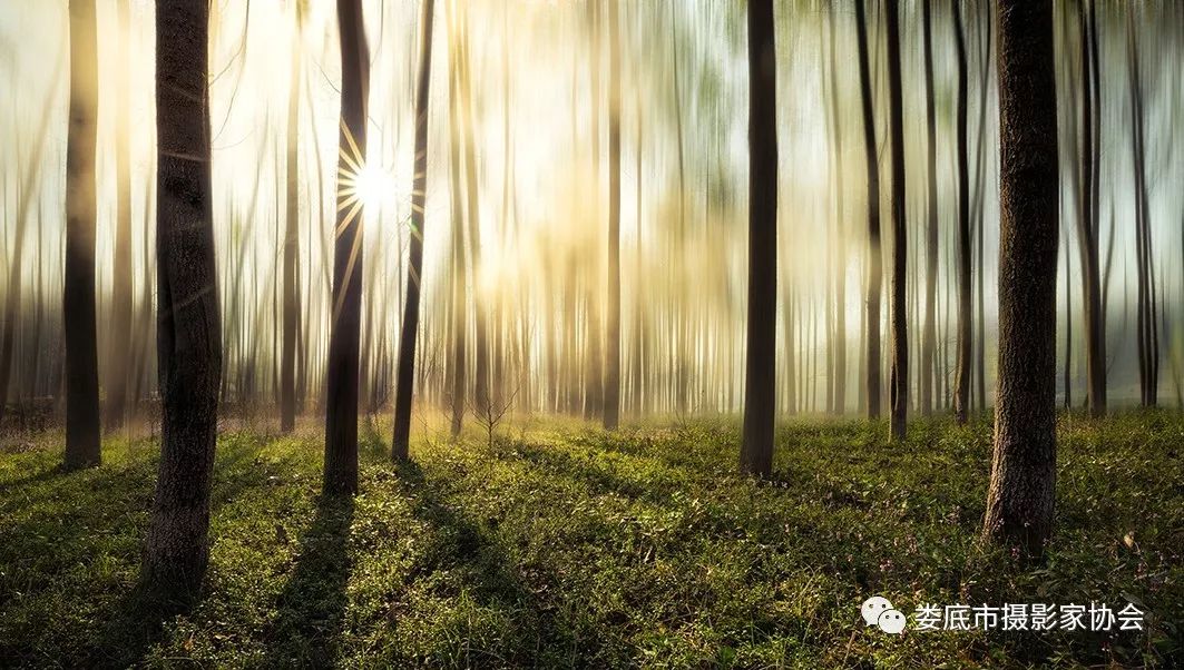 生态娄底美丽家园——【壮丽70年奋斗新时代】娄底首届风光摄影作品展览生态小品作品选登