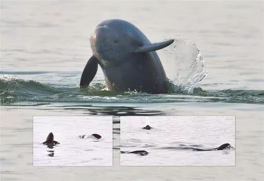 一图速览宜昌70年巨变！看完心潮澎湃