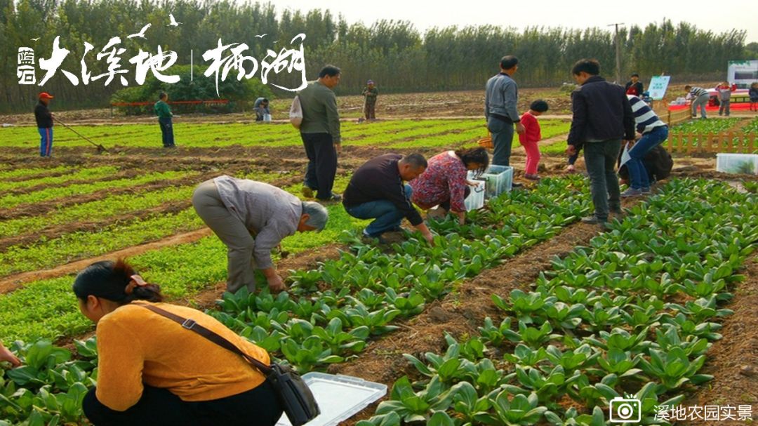 蓝石大溪地的房子值得买吗,蓝石大溪地最新房价