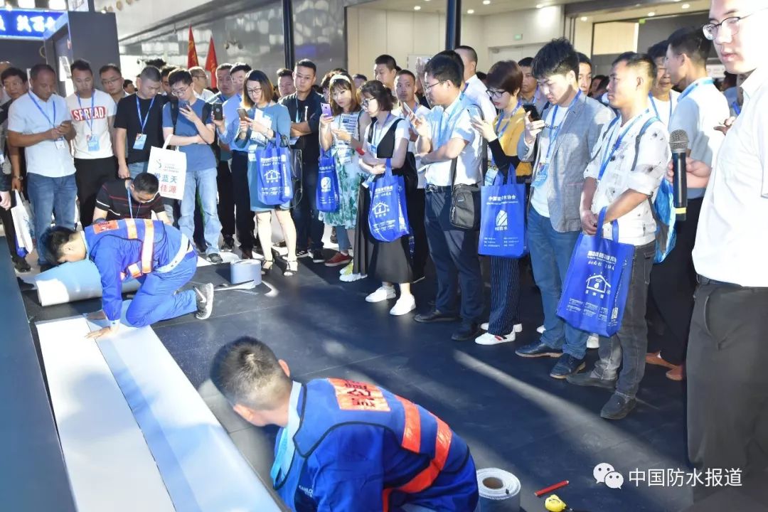 凯伦威尔逊为什么叫囧哥,凯伦中了病毒