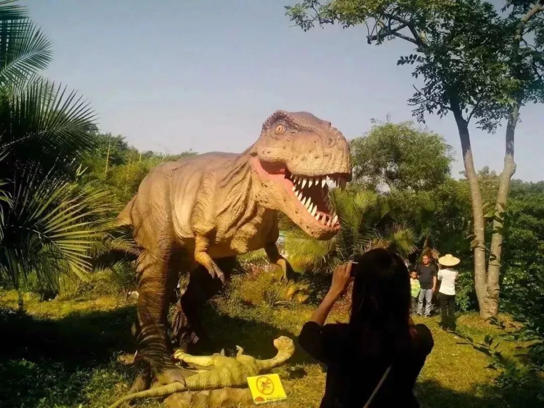 肇庆鼎湖新区体育中心中秋游园会,肇庆新区体育中心中秋游园会