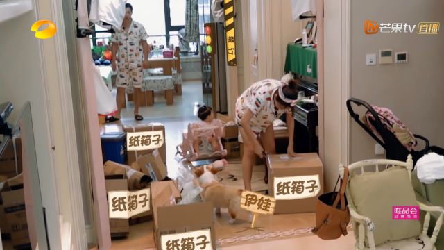 明星夫妻甜蜜日常,明星夫妻甜蜜日常综艺节目介绍