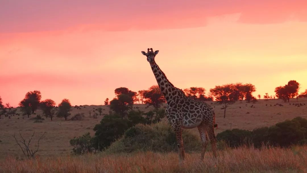 鍧︽灏间簹涓庡ぇ鑷劧,鍧︽灏间簹鑷劧椋庡厜鐪熺編