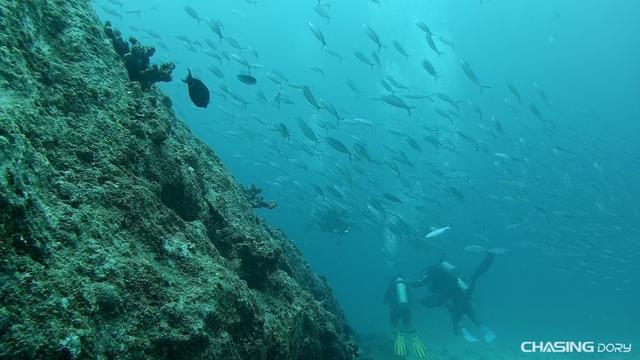 潜拍无人机测评,中国水下探测黑科技