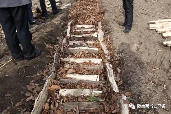 庆祝新中国成立70周年活动记录,庆祝新中国成立70周年视频