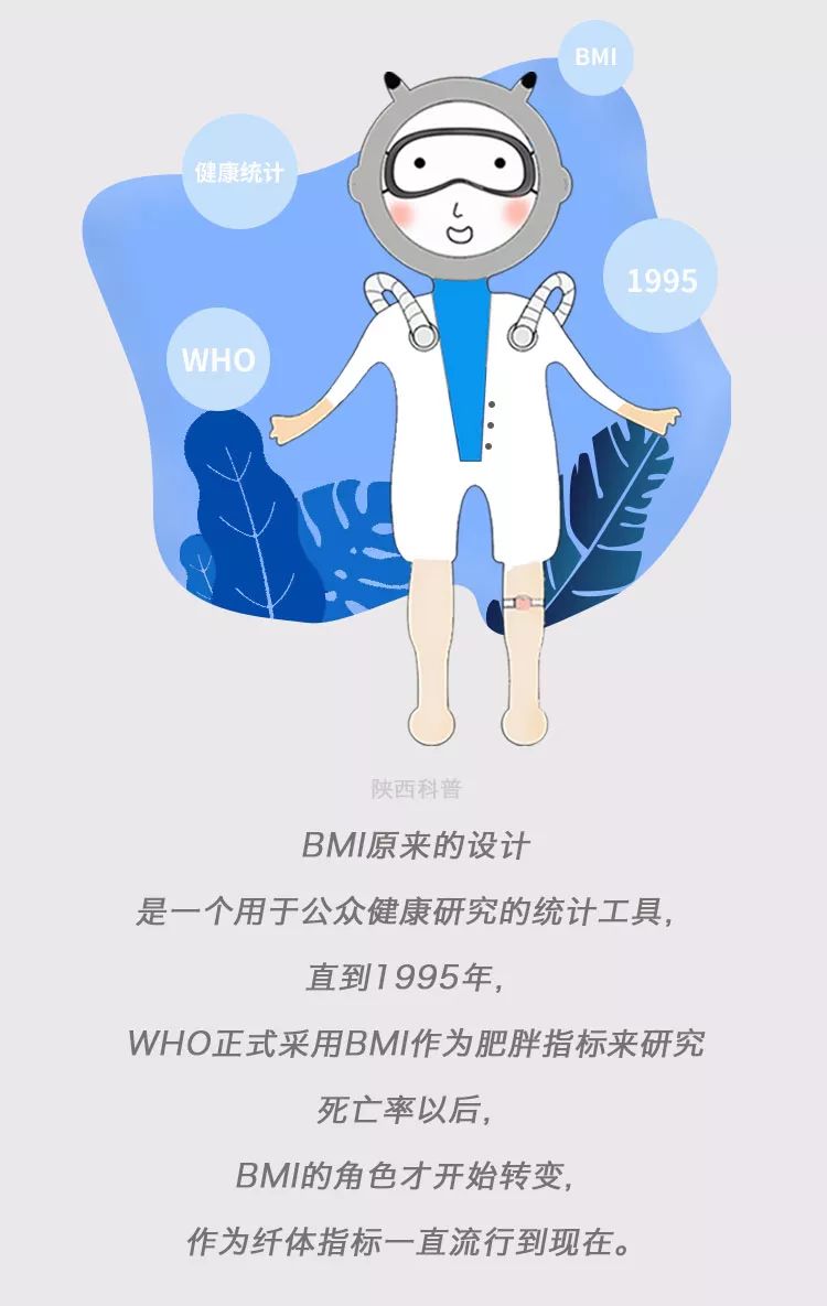 减肥看体脂率有用还是看bmi有用,减肥前要知道bmi值是多少