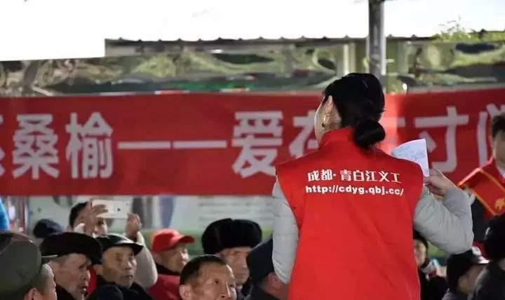 1130什么星座,白桥是什么星座