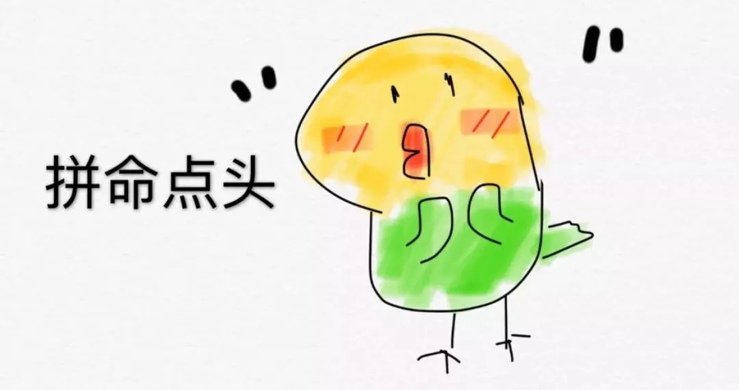 蒙牛与德运哪个牛奶好,伊利蒙牛德运哪个成人奶粉更好