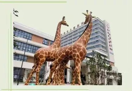 东莞市儿童医院新大楼明天启用，环境棒棒哒