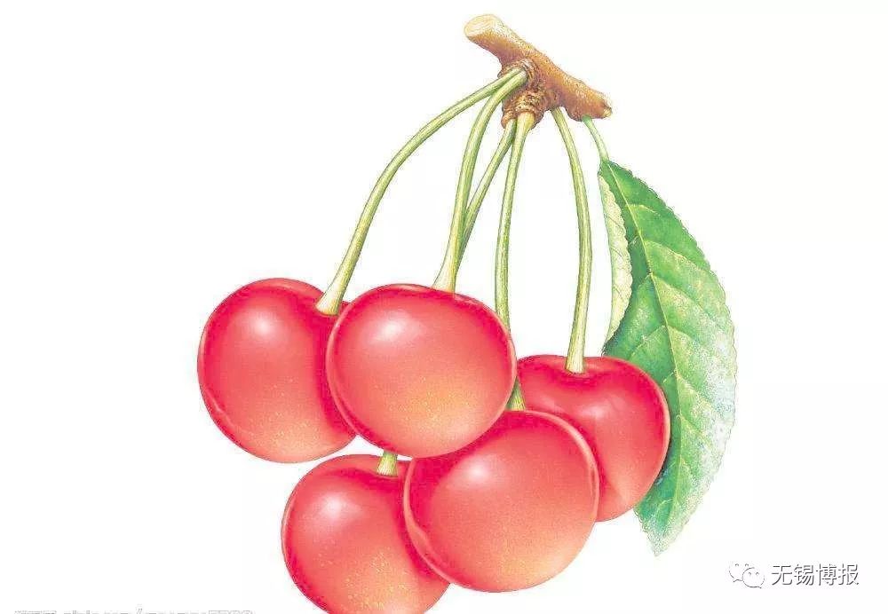 体检发现一个胆囊息肉,体检相隔半年查出胆囊息肉