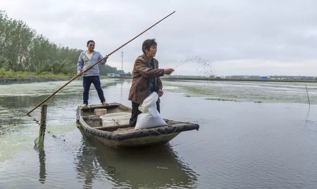 全民可炒的“期货蟹”，传统经销商正在被革命，你的钱包到底养活了谁？
