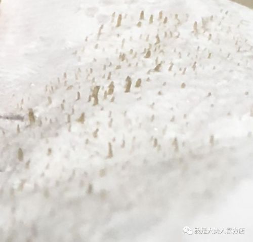 画面极度舒适！十几年顽固老黑头，30秒彻底连根拔起！毛孔畅快呼吸原来是这种感觉