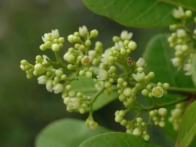 低头族的福音10分钟缓解颈椎,一分钟学会肩颈按摩拯救低头族