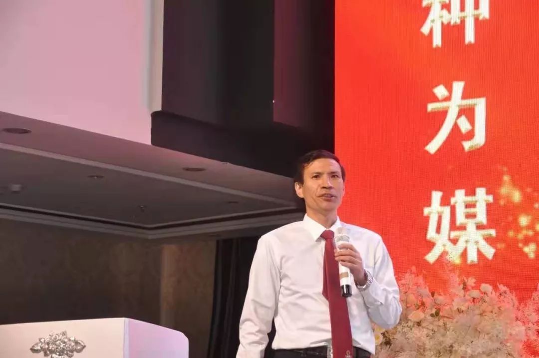 抗性型玉米,抗性最好的玉米品种