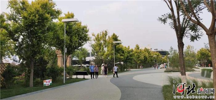 大河之北森林图片,大河之北原唱完整版