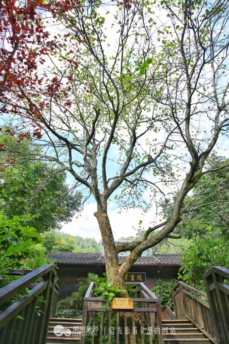 张家界森林公园旅游住宿,张家界森林公园自由行住宿推荐