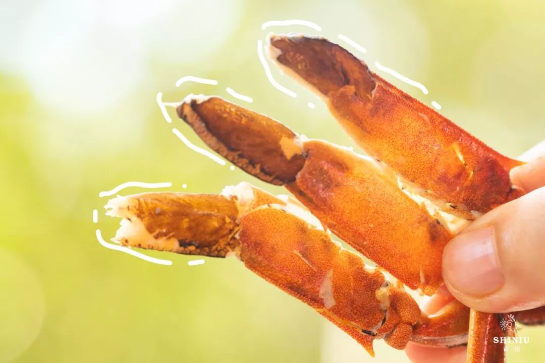 爆黄大闸蟹优惠,5.9大闸蟹