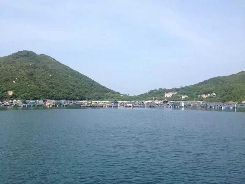 为了泳滩，遇上稔子和山日