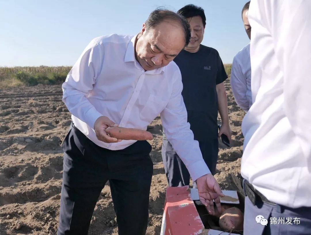 针对热点难点问题~王德佳深入四县区调研