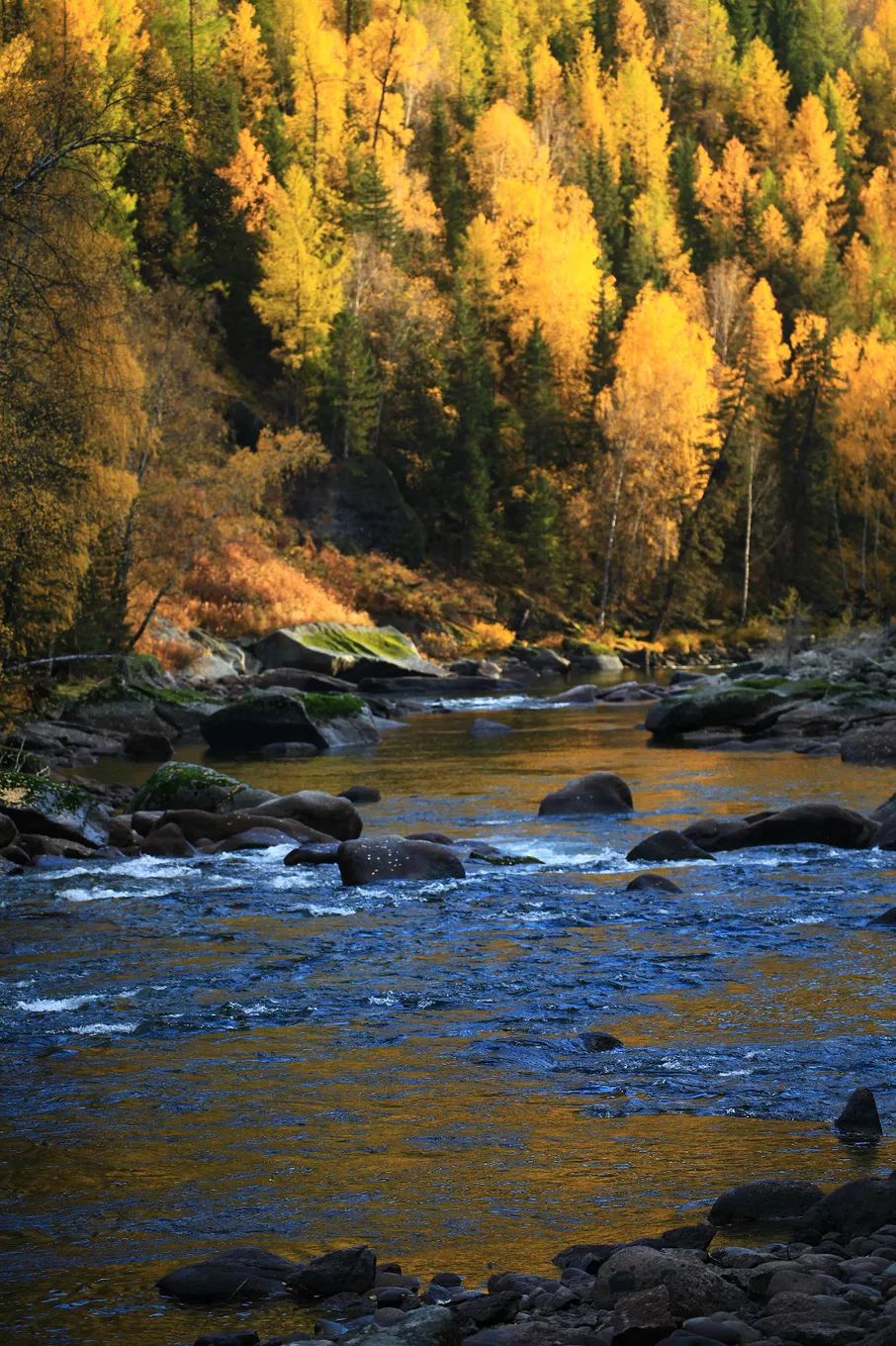 选好出行路线,选日期出行