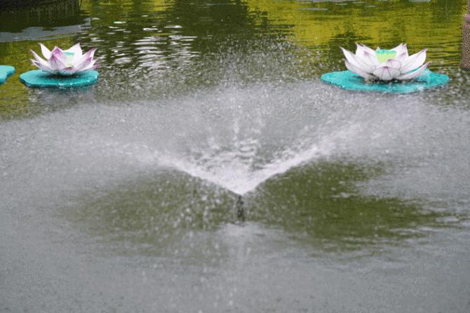 索尼alpha7r5微单相机评测,索尼全幅微单alpha7rv参数