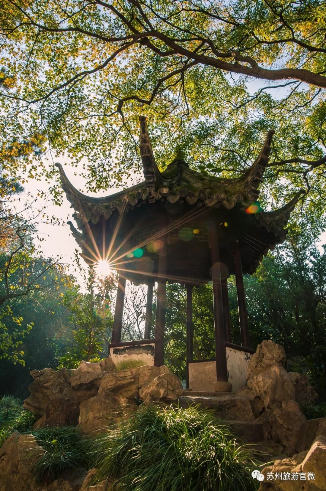 苏州四大景点有哪些,苏州旅游必去十大景点路线