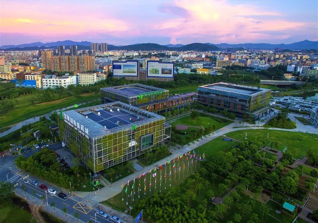 我与祖国共成长丨与龙岗合影，祝福我们亲爱的阿中哥~