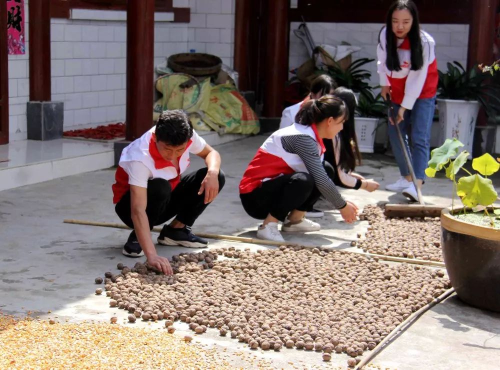 新时代文明实践情暖夕阳红,新时代文明实践者图片
